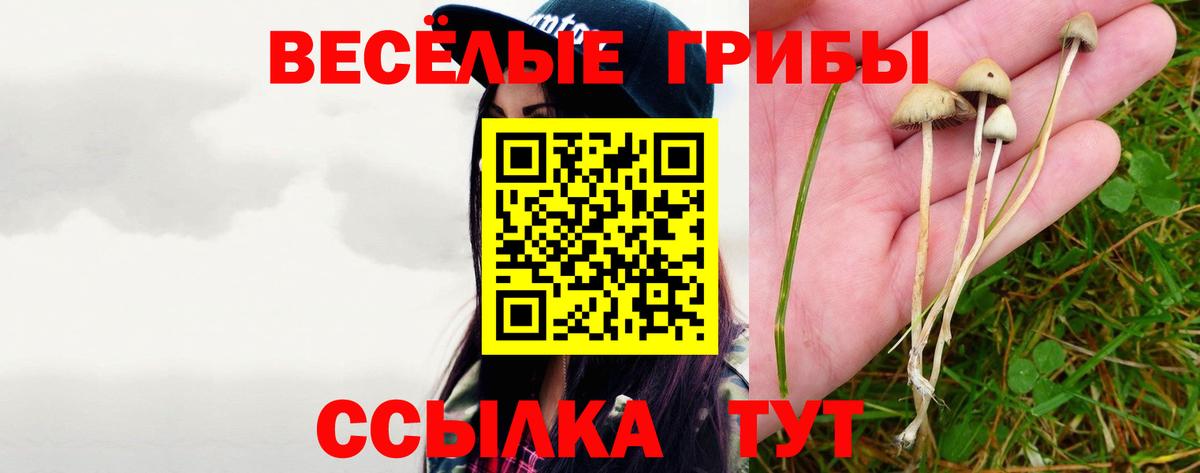 Галлюциногенные грибы Magic Shrooms  Вход с VPN  как найти закладки  Кунгур  Псилоцибиновые грибы Magic Shrooms 